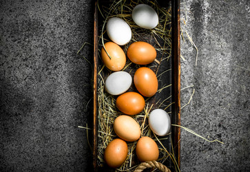 Similar image 15916251