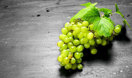 Similar image 15917063