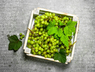 Similar image 15917412