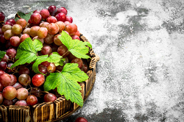 Similar image 15917599