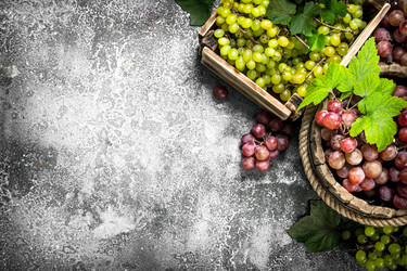 Similar image 15917675