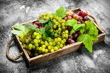 Similar image 15917731