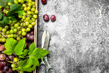 Similar image 15917751