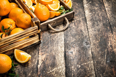 Similar image 15919669