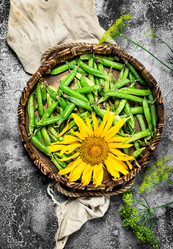 Similar image 15921524