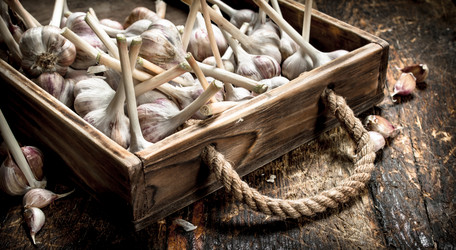 Similar image 15916083