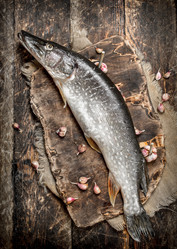 Similar image 15919892