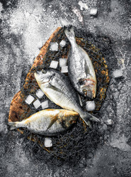 Similar image 15920100