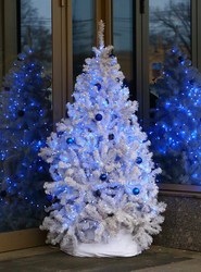 Similar image 15915362