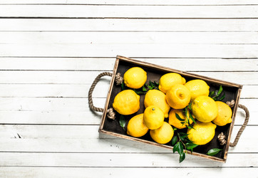 Similar image 15920985