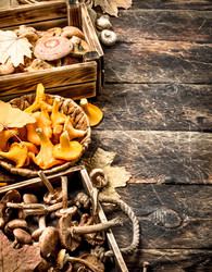 Similar image 15921006