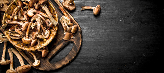 Similar image 15921024