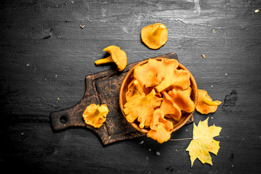 Similar image 15921063