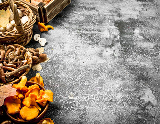 Similar image 15921082