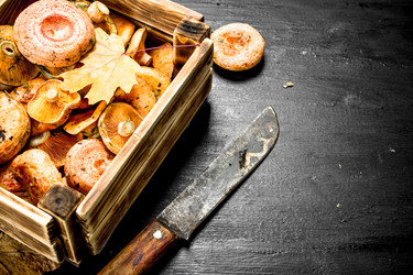 Similar image 15921099