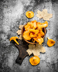 Similar image 15921174