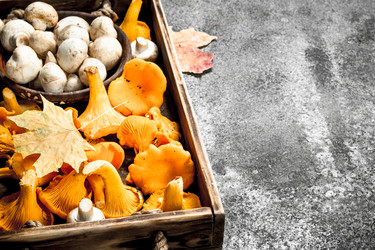 Similar image 15921207