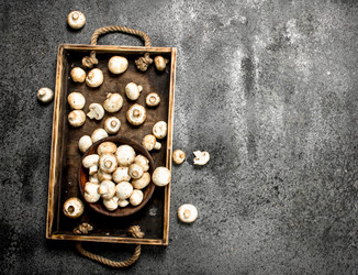 Similar image 15921214