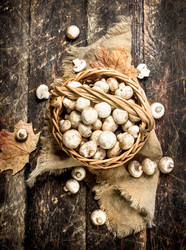 Similar image 15921262