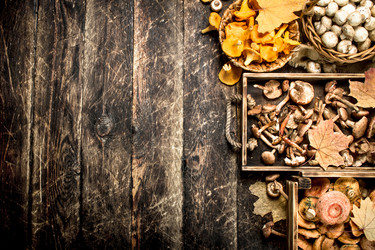 Similar image 15921311