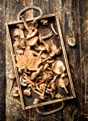 Similar image 15921327