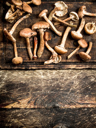 Similar image 15921353