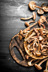 Similar image 15921384