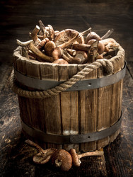 Similar image 15921412