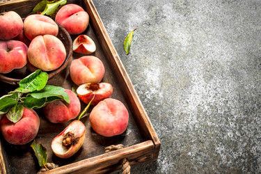 Similar image 15921474