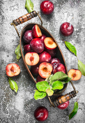 Similar image 15921622