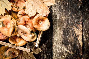 Similar image 15922498