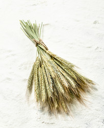 Similar image 15922223