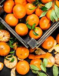 Similar image 15923442