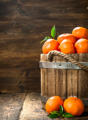 Similar image 15923512