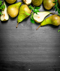 Similar image 15918142