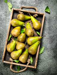 Similar image 15918288