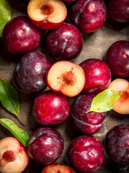 Similar image 15918395