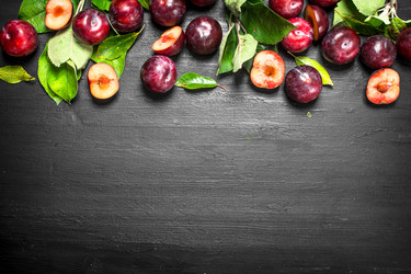 Similar image 15920245