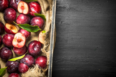 Similar image 15920270