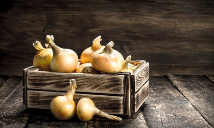 Similar image 15922664