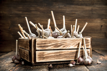 Similar image 15923190