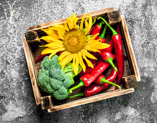 Similar image 15923225