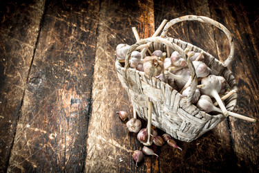 Similar image 15923247