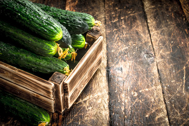 Similar image 15923287