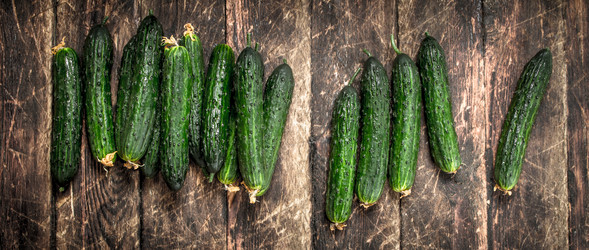 Similar image 15923523