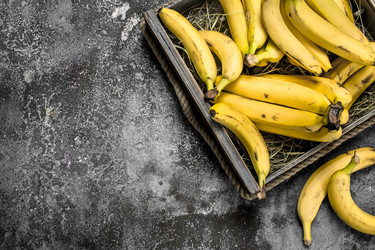 Similar image 15916514