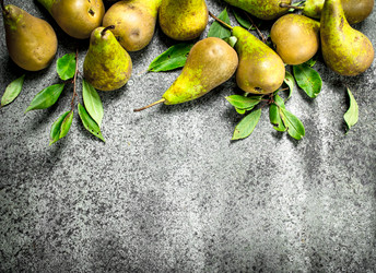 Similar image 15922525