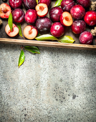 Similar image 15922623