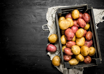 Similar image 15923590