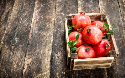 Similar image 15923625